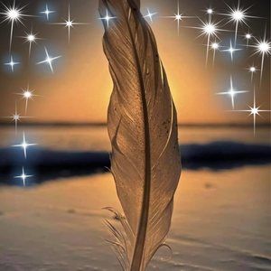 Meet your Posher, Judy